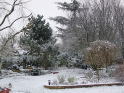 Snowfall in Boullay